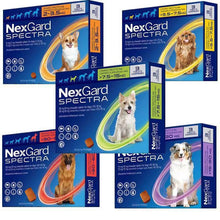 Load image into Gallery viewer, Nexgard Spectra Chewable For Dogs All Size Merial Fast Delivery
