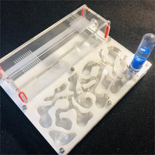 Load image into Gallery viewer, 150mmx110mm test tube Moisture big space Ant Nest ,Ant Farm Acrylic, Insect ants Villa House Ants Ecological Workshop
