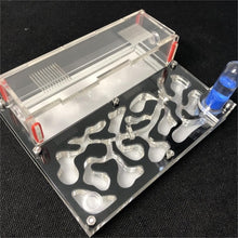 Load image into Gallery viewer, 150mmx110mm test tube Moisture big space Ant Nest ,Ant Farm Acrylic, Insect ants Villa House Ants Ecological Workshop
