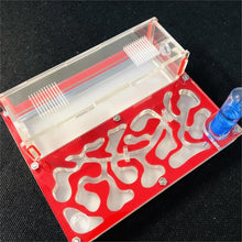 Load image into Gallery viewer, 150mmx110mm test tube Moisture big space Ant Nest ,Ant Farm Acrylic, Insect ants Villa House Ants Ecological Workshop
