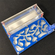 Load image into Gallery viewer, 150mmx110mm test tube Moisture big space Ant Nest ,Ant Farm Acrylic, Insect ants Villa House Ants Ecological Workshop
