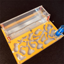 Load image into Gallery viewer, 150mmx110mm test tube Moisture big space Ant Nest ,Ant Farm Acrylic, Insect ants Villa House Ants Ecological Workshop
