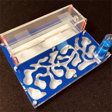 Load image into Gallery viewer, 150mmx110mm test tube Moisture big space Ant Nest ,Ant Farm Acrylic, Insect ants Villa House Ants Ecological Workshop
